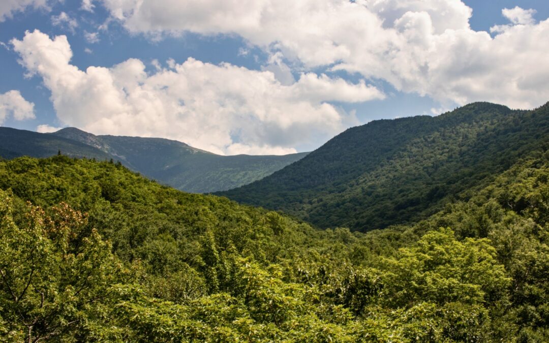 How to Know How Far to Go: Business Lessons From the Mountains – Part I