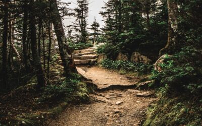 How to Know How Far to Go: Business Lessons From the Mountains – Part II