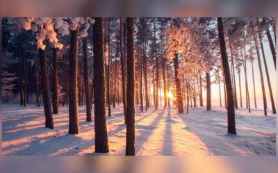 2025: The Year of Winter Leadership